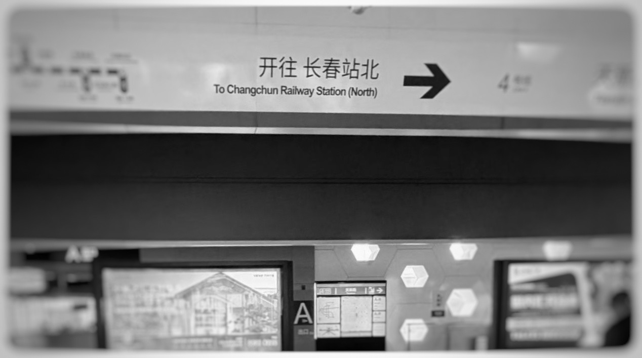 冬天拍的照片